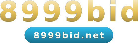 8999bid logo